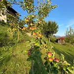 Apartmán Haus Otis *