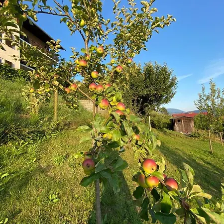 Апартаменты Haus Otis *