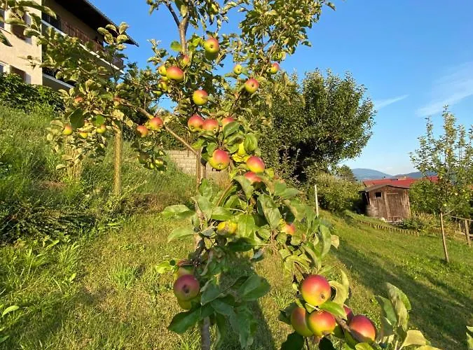 Apartment Haus Otis *